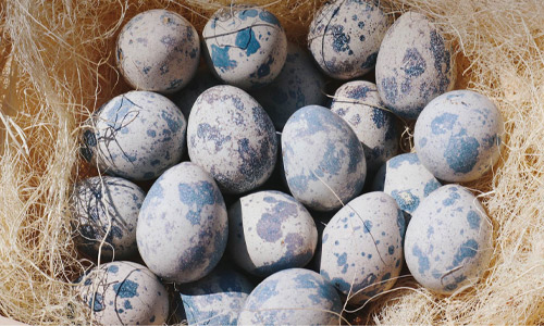 浜名湖ファーム